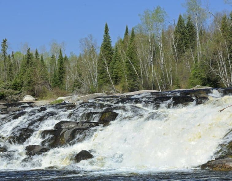 big-falls-trout-river