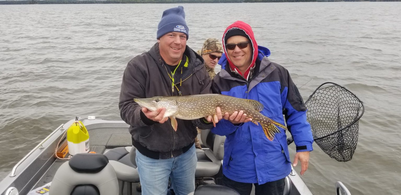 Walleye Fishing Lac Seul Timberlane Lodge